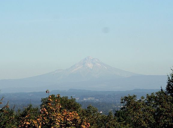 Mt.Hood