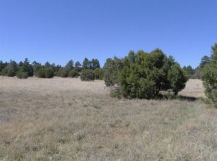 401 E Whipple St, Show Low, AZ 85901