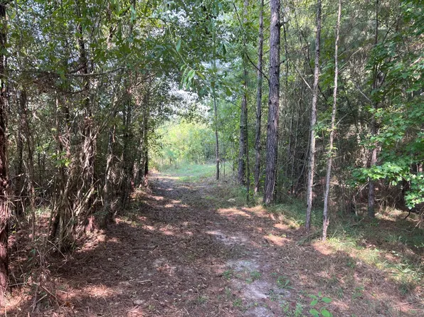 4 County Road 239, New Brockton, AL 36351