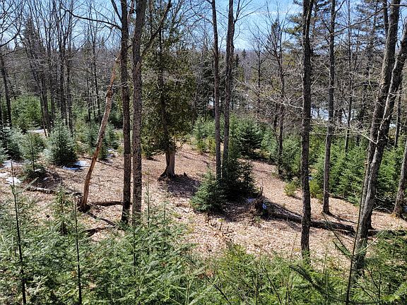 2nd image of 16532 S Scenic Dr