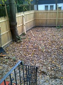 5th image of 1328 W Hunting Park Ave