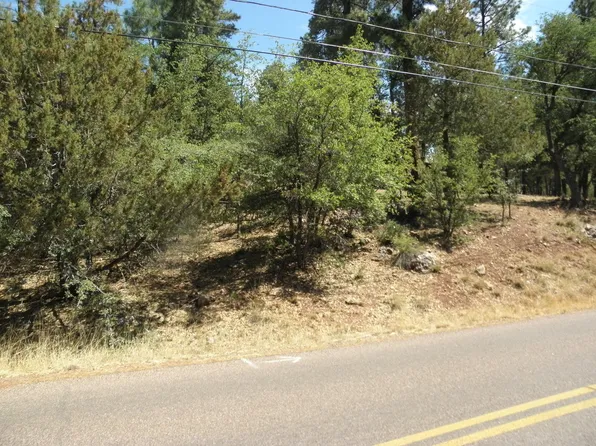 6454 W Bradshaw Dr, Pine, AZ 85544