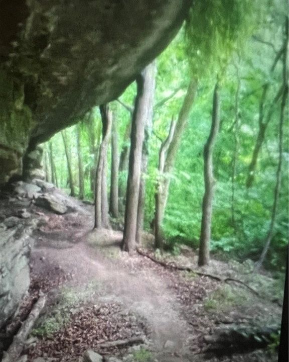 1st image of Bassingham Dr #9
