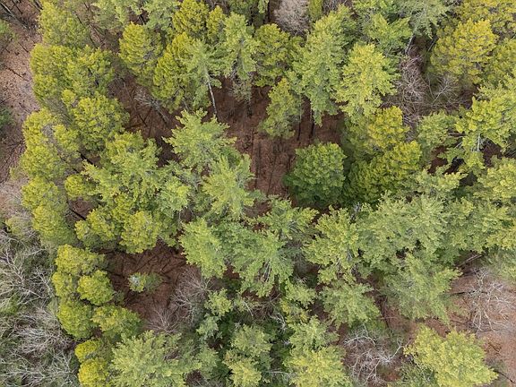 4th image of Lot 053 Holt Road