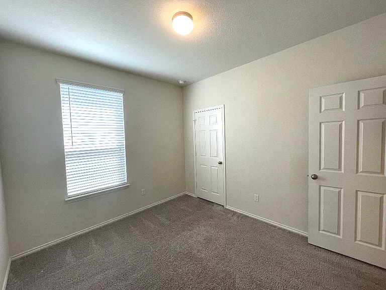 208 Texas Thistle — Photo 19