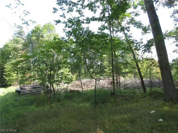 1st St, Linesville, PA 16424