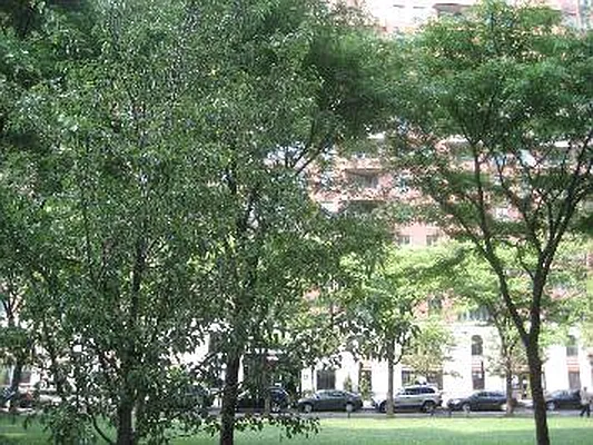 Sold by Corcoran | media 33