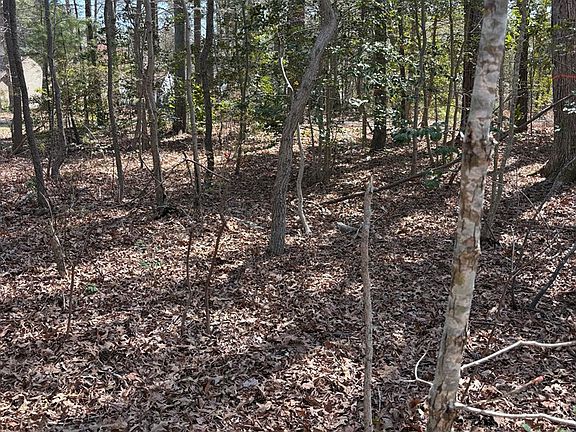 5th image of 8-18-2 Parker Rd