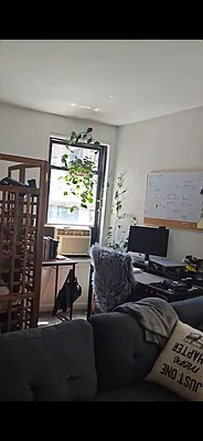 Rented by Manhattan Flats | media 7