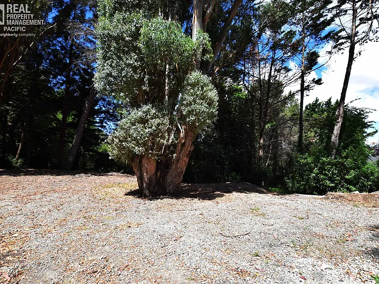 1835 Bonita Road — Photo 19