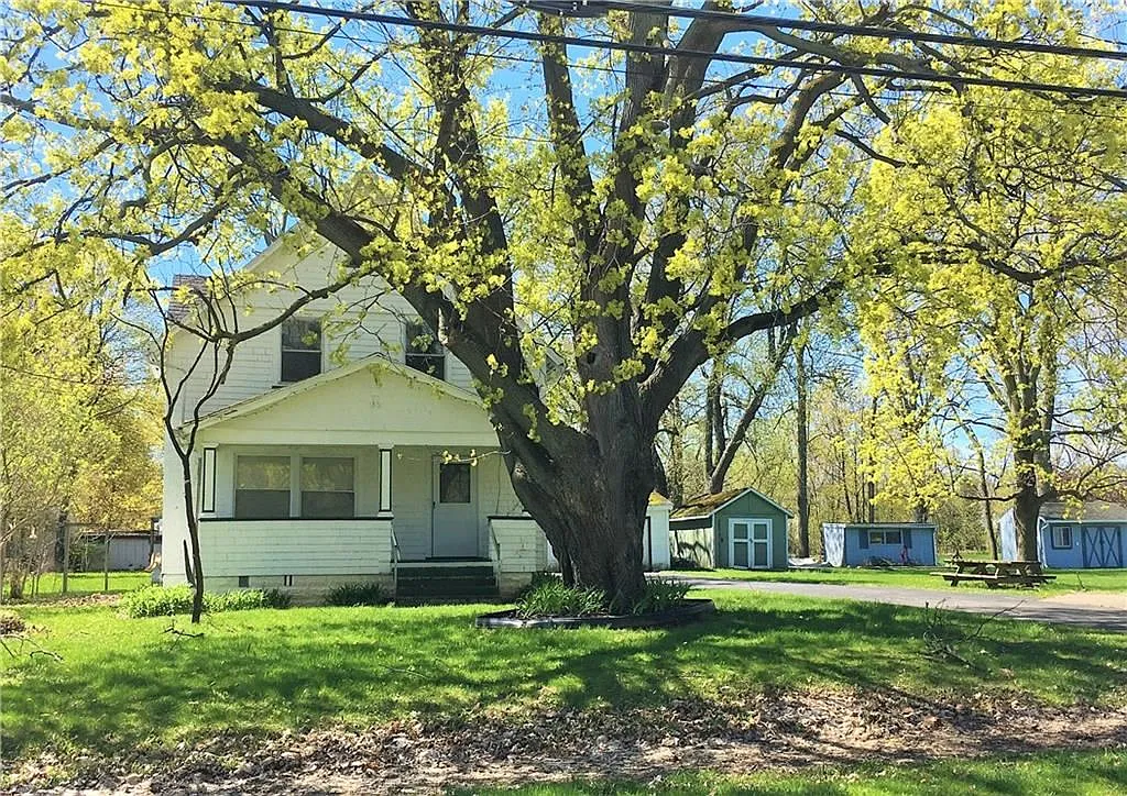 5 Elmore Dr photo 1