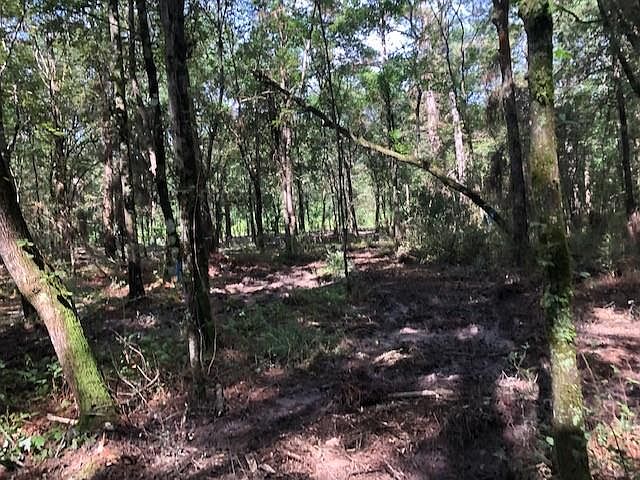2nd image of 74592 Tantela Ranch Rd