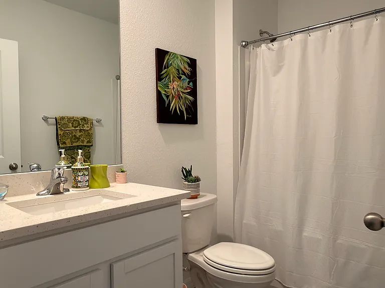 3410 Ivy Hollow Dr — Photo 11