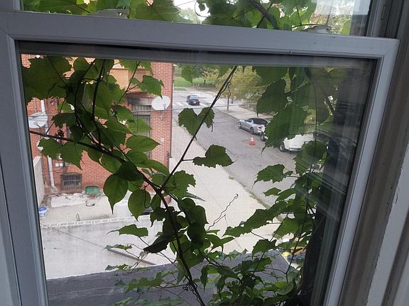 3rd image of 4200 Viola Street # Fl 2nd