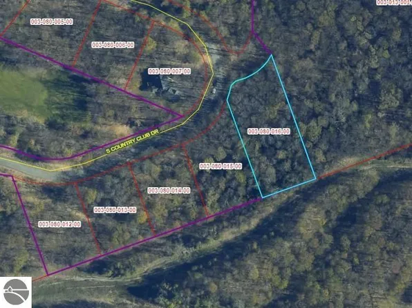 LOT 16 S Club Dr, Cedar, MI 49621