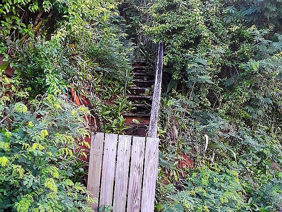 entry to walking path 