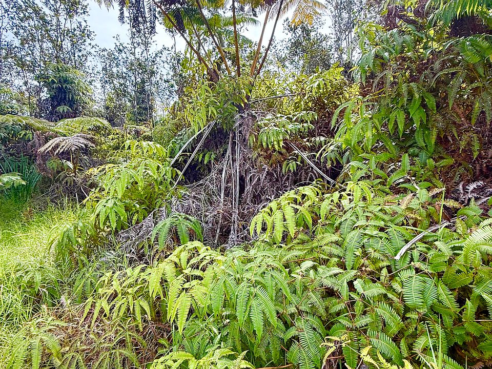 2nd image of Volcano Rd Lot 1384