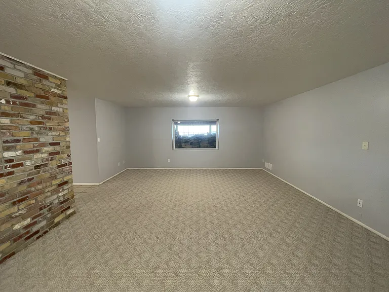 large basement 'family room'