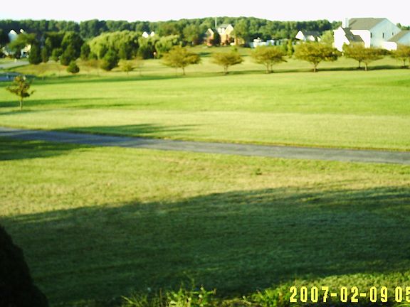 View from the open front door