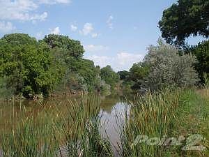 Henry Lane Cottonwood20130705_10