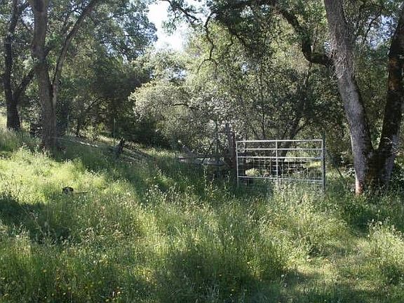 Meadow View