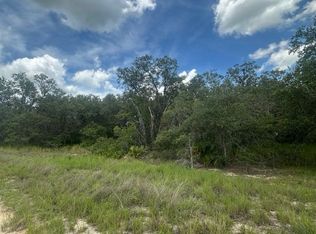 3064 W Ryder Rd, Avon Park, FL 33825