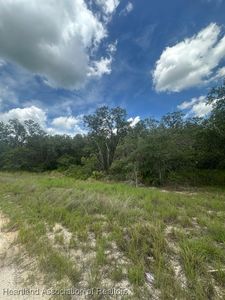 3064 W Ryder Rd, Avon Park, FL, 33825