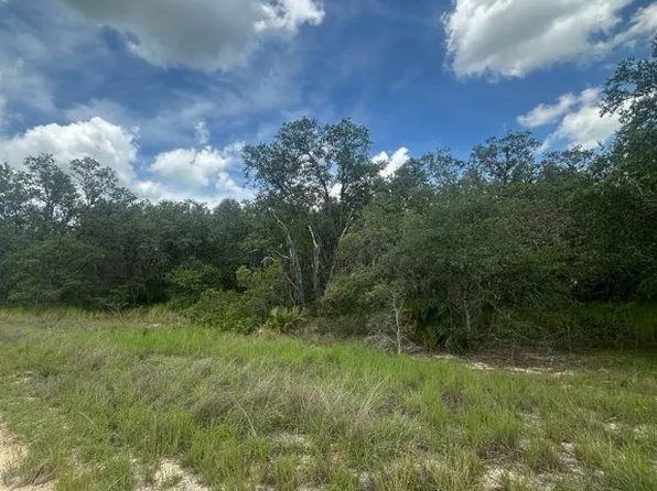 3064 W Ryder Rd, Avon Park, FL 33825