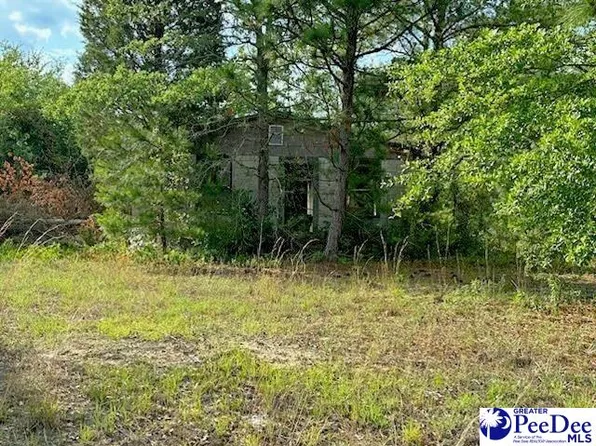 Fruit Farm Rd, Bennettsville, SC 29512