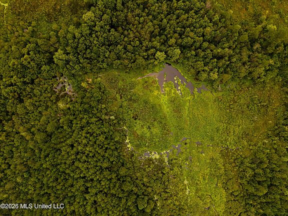5th image of Lawrence Hazel Rd