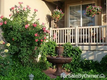 Colorful climbing roses and ivy in front