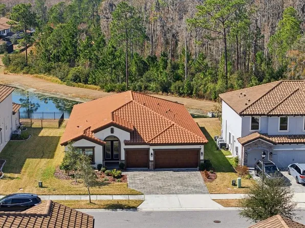 4011 Burdick Loop, Odessa, FL 33556