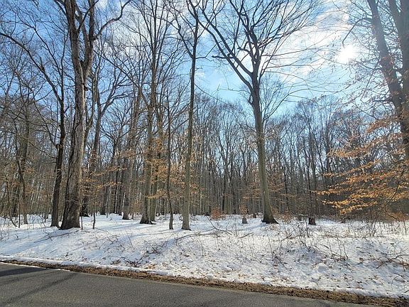 5th image of 262 White Marsh Rd