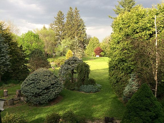 Arboretum-Like Garden