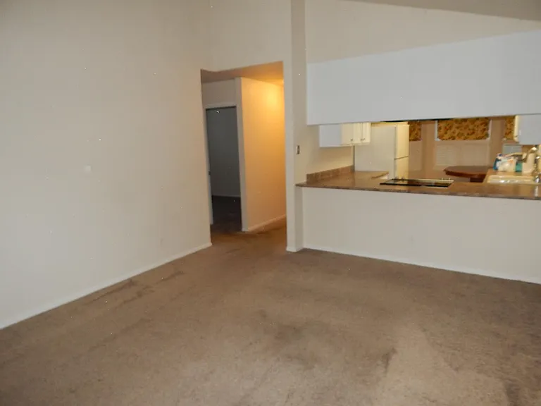 4478 Sunrise Ct — Photo 8