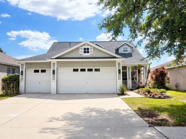 16313 Bridgecrossing Dr, Lithia, FL 33547