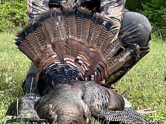 47th image of this home