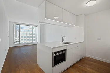 99 Hudson Street, #1109