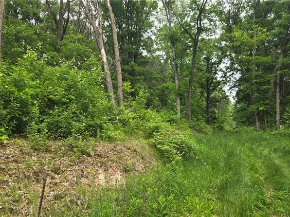 10559 20th Street, Colfax, WI 54703