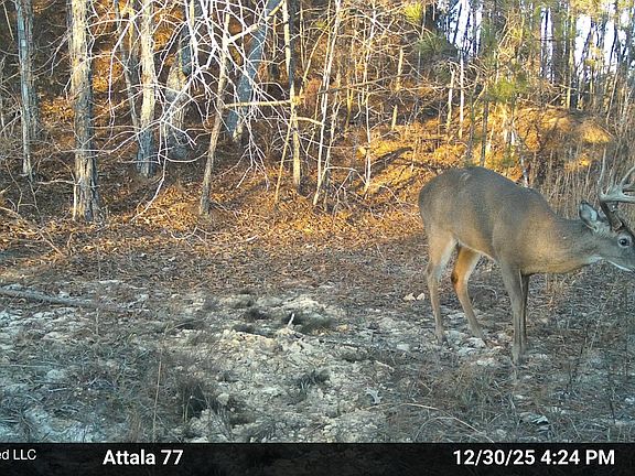 5th image of Old Trace Rd