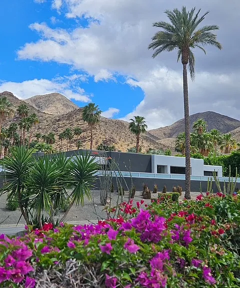 3447 Andreas Hills Dr — Photo 18