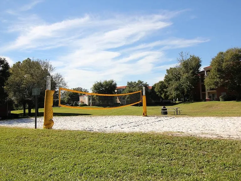 Volleyball Court