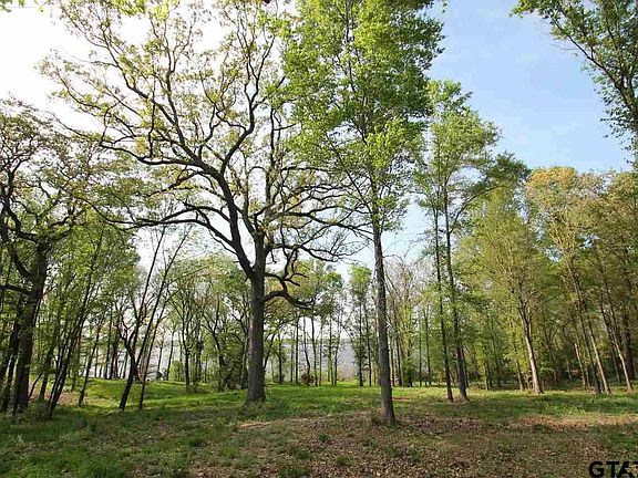 3rd image of LOT 5 County Road 1297