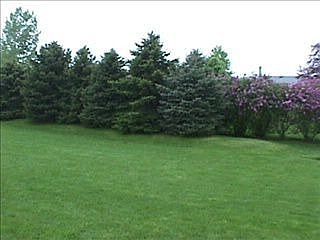 3rd image of 14110 De La Tour Dr