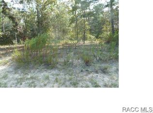 46 Matricaria Ct, Homosassa, FL 34446