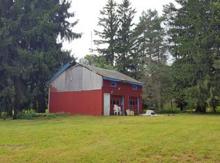 197 Cribbs Rd, Pleasant Mount, PA 18453