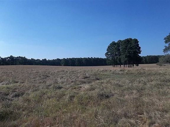 3rd image of 317 County Road 4228