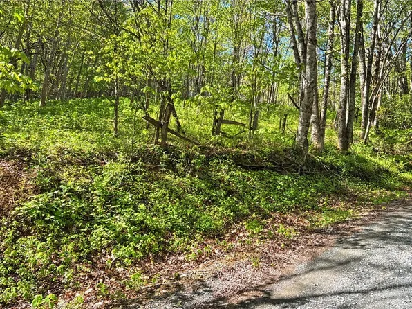 TBD Ed Perry Ln NC TBD Ed Perry Ln NC Lane, Banner Elk, NC 28604