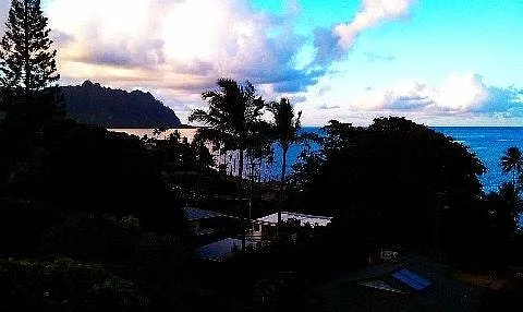 Evening View