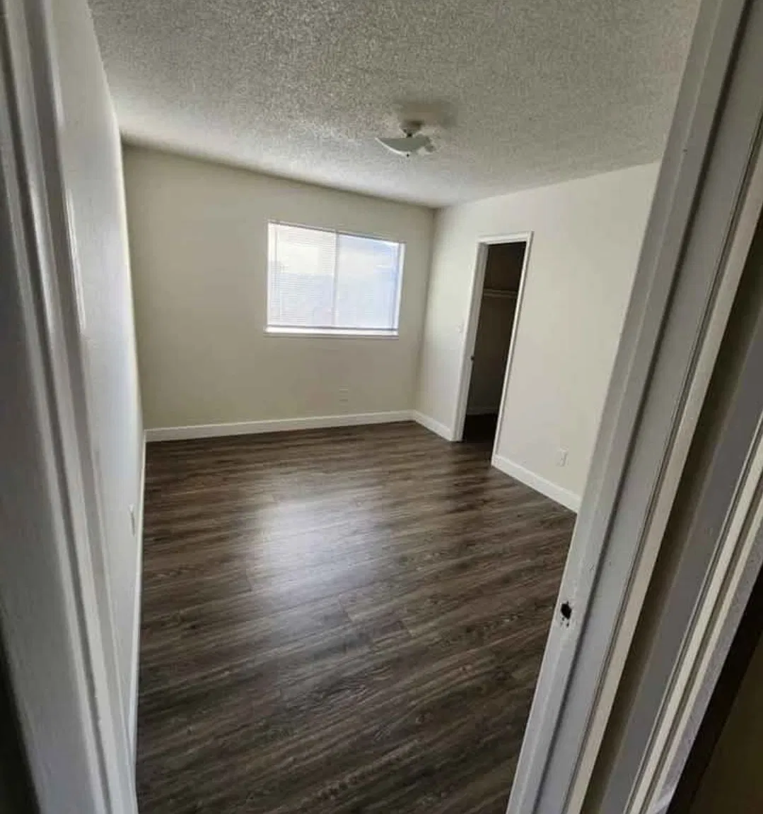 3 bed, $2,300 — Photo 2